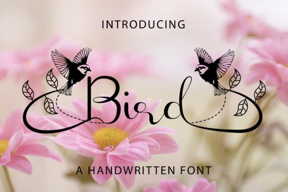 Bird: A Stylish Handwritten Font for Every Creative Need